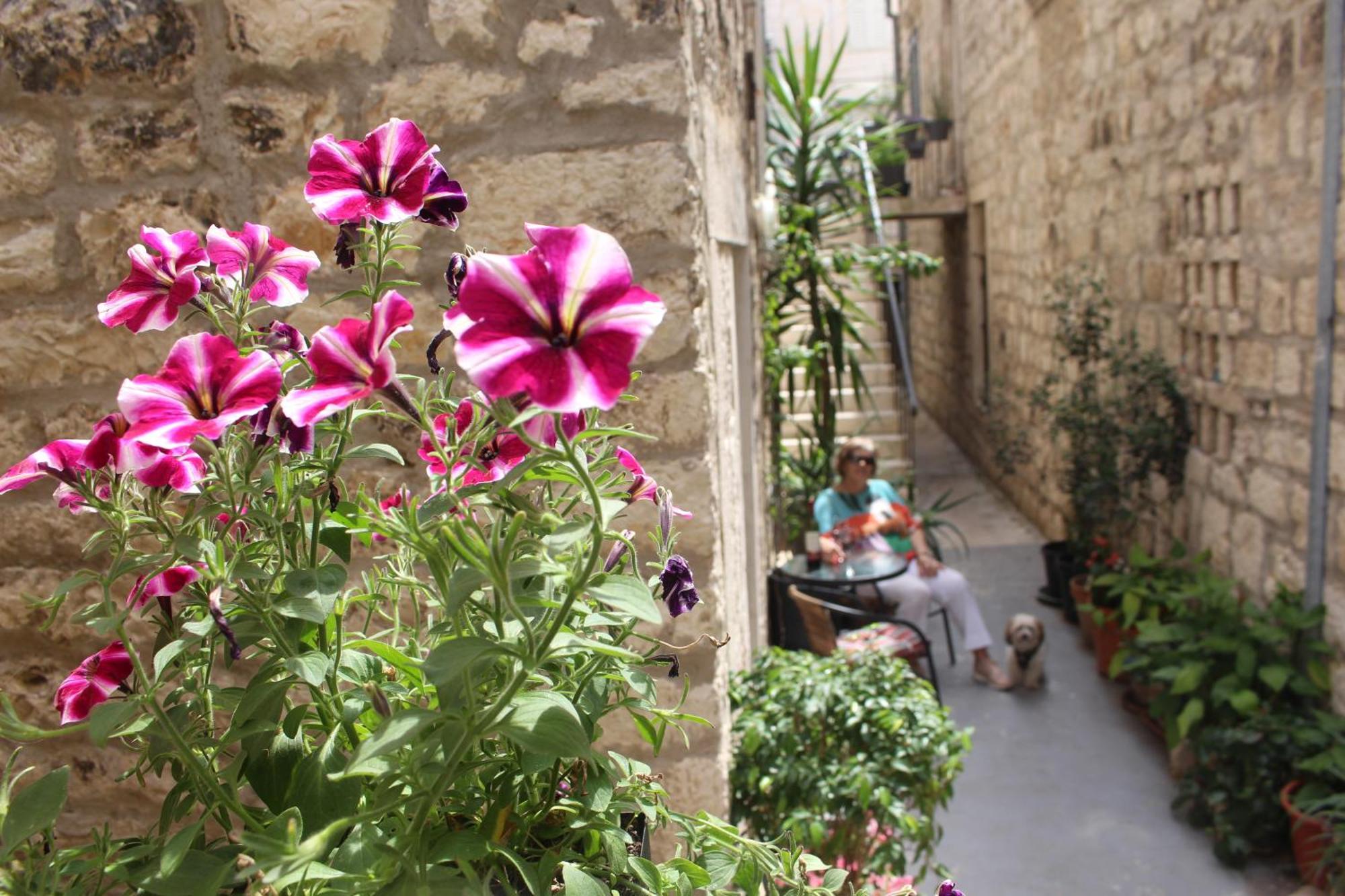 Street Garden Apartment Hvar Town Zewnętrze zdjęcie
