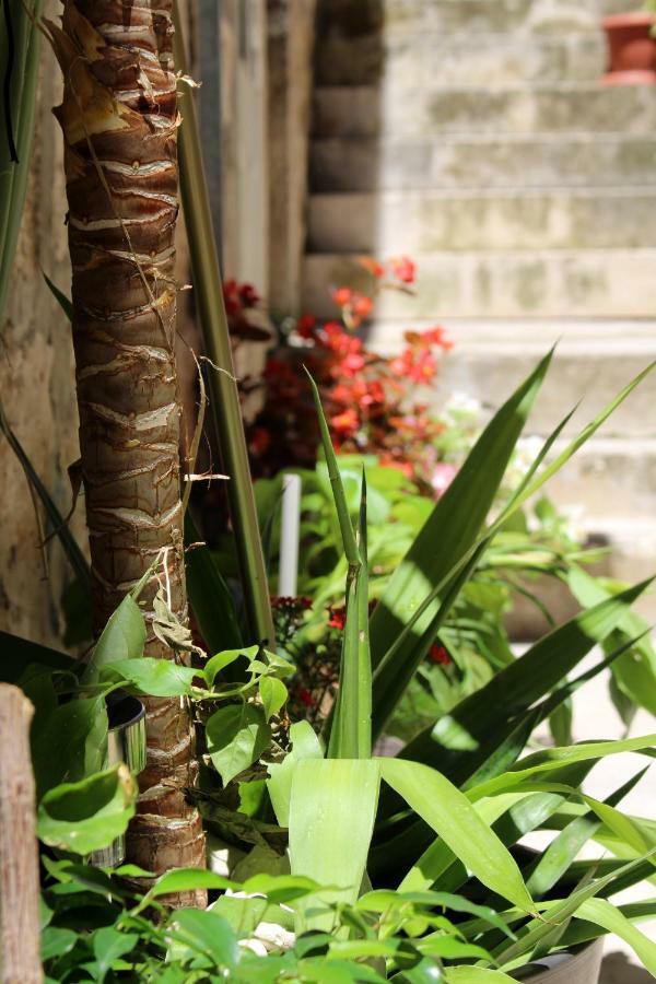 Street Garden Apartment Hvar Town Zewnętrze zdjęcie